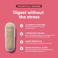 Capsules de probiotiques pour femmes avec mélange de prébiotiques pour un soutien quotidien de la santé