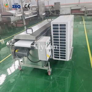 Otomatik Ayarlanabilir Hızlı Soğutma Özelleştirilebilir Çikolata Soğutma Tüneli Ekipmanı Kaplamalı Kurabiyeler İçin - Product Image 1