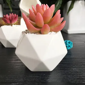 New Arrival Fridge Magnets ceramic Potted Artificial Green Succulent Plants