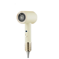 Sèche-cheveux professionnel compact à séchage rapide avec moteur BLDC haute vitesse 110 000 tr/min, diffuseur ionique 200 millions d'ions, pour extérieur, 2000W