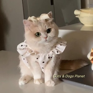 Vestido de Lujo para Mascotas, Falda Moderna de Algodón para Perros, Ropa para Todas las Temporadas, Estilo Delgado con Lunares para Cachorros y Gatitos - Product Image 2