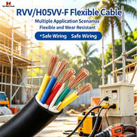 Câble flexible RVV 100% cuivre pur, 2/3/4/5/6/7/8 conducteurs, 0,5-6 mm², conducteur torsadé, fil électrique en PVC, norme IEC 60227