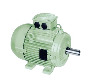 ราคาดี WEG W22 55kW 75hp 75KW 90KW 110KW 125HP ขายดี มอเตอร์เหนี่ยวนำไฟฟ้ากระแสสลับ 3 เฟส สายทองแดงแท้ 100% พร้อม PTC - Product Image 6