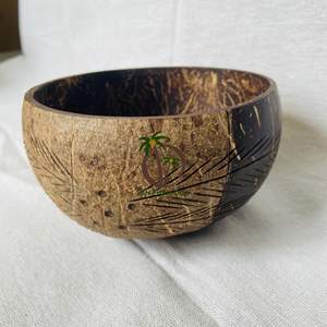 Bol en coquille de noix de coco avec joli bol et meilleur prix bol naturel DESIGN bol en noix de coco sculpté - Product Image 4