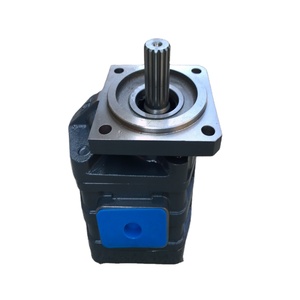 Pièce de rechange pour chargeuse sur pneus Liugong 11C0444, pompe à engrenages, pièces de machines de construction, directement de l'usine - Product Image 1