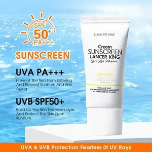 Factory Wholesale 60g Private Label Natural Organic Sunblock Waterproof SPF 50 PA+++ Sunscreen Cream