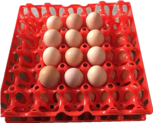 Bandeja de plástico para huevos de 30 agujeros, embalaje de transporte de buena calidad