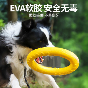 Jouets professionnels pour chiens, durables et résistants aux morsures, adaptés aux Labradors, Golden Coats, Border Collies et autres races. - Product Image 3