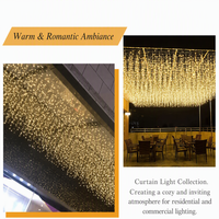Guirlandes lumineuses LED personnalisées pour Noël, blanc chaud, IP44, étanches, 10 m de long, pour bar, fête, mariage, club, spectacle, hôtel