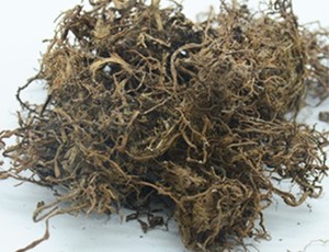 <span class=keywords><strong>B</strong></span>.<span class=keywords><strong>C</strong></span>.I 50% ~ 98% ベータ-エクジステロンカプセル500 mg 20-ヒドロキシエクジソンパウダーCas 289-74-7シアノティスクモ膜エキス - Product Image 6