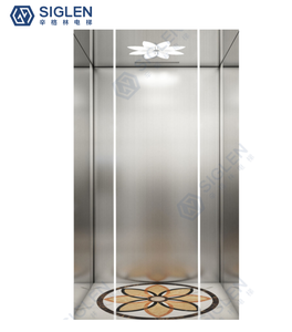 प्रीमियम विला होम लिफ्ट और आधुनिक डिजाइन और कम कीमत के साथ लिफ्ट - Product Image 2