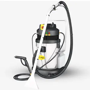 Máquina extractora de alfombras de vapor, Calentador de vapor a presión de 30L, 87PSI, para lavado doméstico, sofá cama, LC-30ZQ, precio más barato