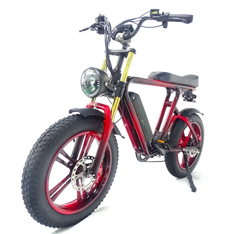 20 polegadas Fat Estrada Mountain Bike Suspensão Garfo Nova Chegada Elétrica 750W 21Ah Ebike