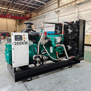 Generador de Gas Natural de 50kW-250kW con Enfriamiento por Agua, Arranque Automático, Energía Limpia, Respaldo para el Hogar con ATS, Precio de Fábrica - Product Image 5