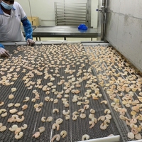 Congélateur spiral haute efficacité pour ligne de transformation alimentaire