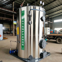 Generador de Vapor de Biomasa de Cáscara de Arroz de Alto Rendimiento y Alimentación Automática de 1000 kg/h para Procesamiento de Alimentos
