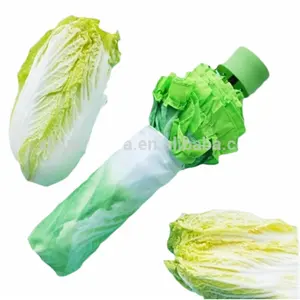 20.5''New style of creative folding plants umbrella portable tiny vegetable umbrella