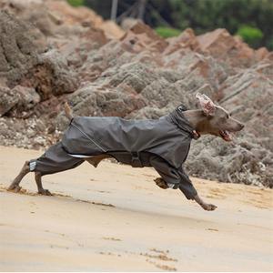 Chubasquero impermeable para perros, Mono para perros medianos y grandes, chubasquero para mascotas al aire libre, ropa para cachorros, <span class=keywords><strong>Doberman</strong></span>, Labrado, accesorios para perros - Product Image 4