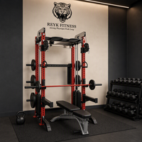 Portique de fitness mural multifonctionnel en acier inoxydable, design oiseau volant, avec miroir intérieur, conception simple face, petit modèle pour salle de sport