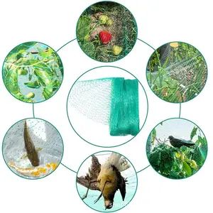 农业园林农场塑料强力防鸟网尼龙网