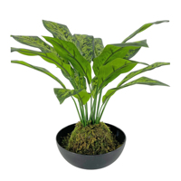 Plante tropicale artificielle Calathea Orbifolia en plastique, réaliste, en vrac, directement de l'usine, pour le bureau du Nouvel An, durable et légère