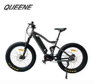 Queene Aluminium Elektrische Mountainbike 26 Inch Mid Drive 48V 1000W Krachtige Fat Ebike Met Frame Gemonteerd Batt