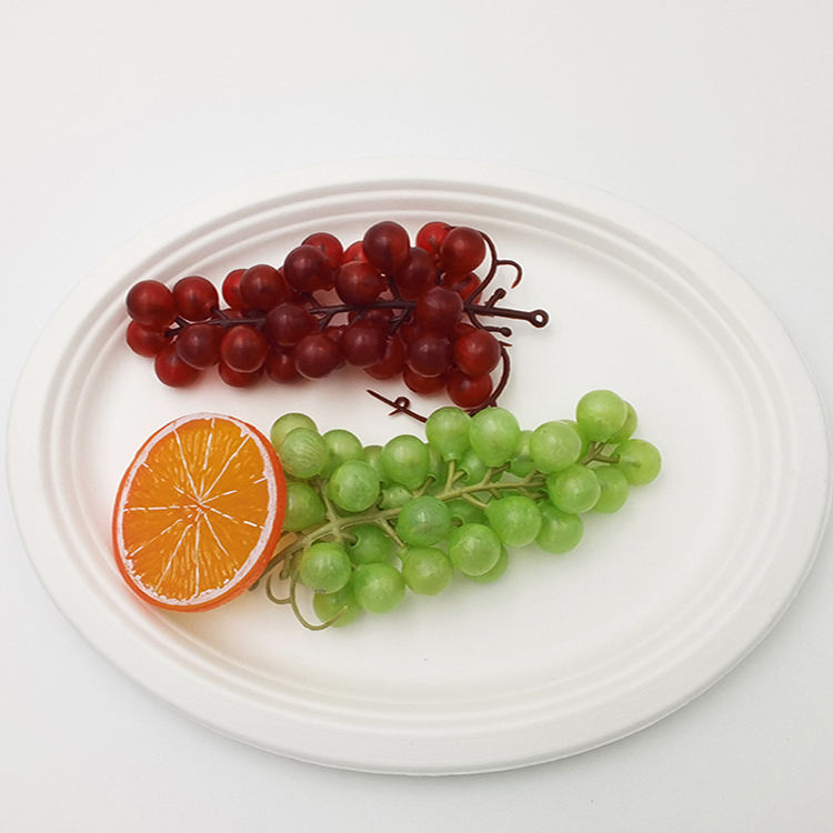 Custom 12oz 16oz 32oz 500ml 750ml Biodegradable Compostable Disposable Noodle Pulp Sugarcane Bagasse Salad Bowl Lid Camping