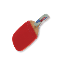 Haïtien D'origine usine moule développement produits pagaie de ping-pong personnalisation batte de ping-pong