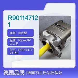 เร็กซ์รอธ R901147121 PGH5-30/250RE07VU2 ปั๊มเกียร์ไฮดรอลิกแรงดันสูงเหล็กหล่อ - Product Image 4