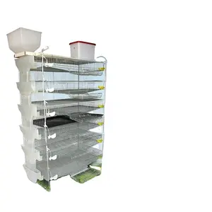 quail cages with cheaper price from CHina