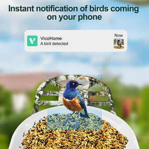 Mangeoire à oiseaux intelligente à reconnaissance AI avec caméra solaire caméra mangeoire à oiseaux sans fil - Product Image 4