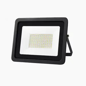 COYOLED-Reflector de luz LED impermeable para exteriores, lámpara de 200W, 150W, 100W, 50W, 30W, 20W y 10W, IP66