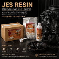 TIMESRUI JES Kit de poudre de gypse à base d'eau sans bulles pour plateau, non toxique, pour débutants, 500G+200G, surface en verre