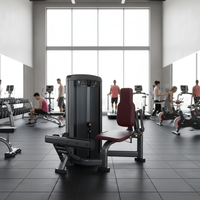 Appareil de fitness intégré pour la maison, équipement en acier pour la musculation et le renforcement corporel, pour la salle de sport ou l'usage domestique