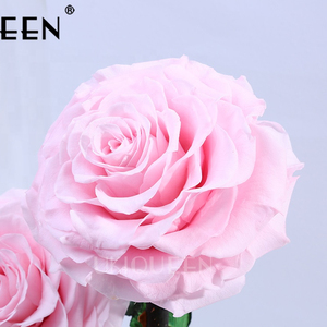 3 rosso Conserve di Infinity Reale <span class=keywords><strong>Fiori</strong></span> Freschi Belle Bellezza 3 Anni di Lunga Durata Per Sempre Rosa in Cupola di Vetro - Product Image 6