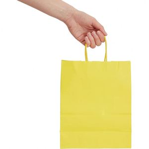 Paper Gift <b>Bags</b> with Handles for Christmas Birthday Wedding and Party Celebrations Thanksgiving Retail Shopping Paper <b>Bag</b> - Product Image 3