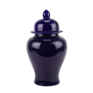 RZRV24-F-YQF0006 Handgemaakte Kleur Glazuur Donkerblauw Kleine Keramische Gember Pot