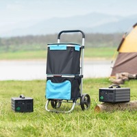Chariots de courses utilitaires pour supermarchés, avec logo personnalisé, pliables et portables, chariots de camping, chariots de courses tendance