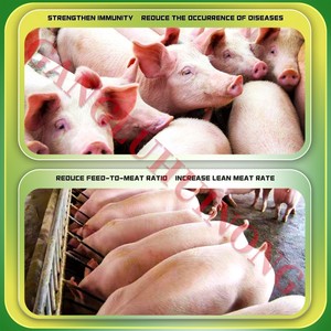 Phụ gia Thức ăn cho lợn nhanh chóng vỗ béo tăng cân xuất khẩu Thức ăn cho lợn nổi tăng trưởng thức ăn bổ sung cho heo con - Product Image 6