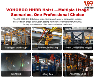 3 चरण इलेक्ट्रिक चेन के नए खुदरा उपयोग के साथ 1-10 टन क्षमता 380 वी/220v ओम स्वीकार - Product Image 3