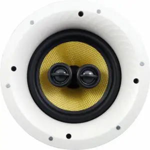 Hoge Kwaliteit 6.5-Inch Hifi Actieve Plafond Speaker Voor Thuis Stereo Geluid Yz386