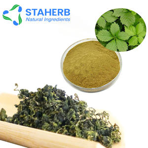 <span class=keywords><strong>Gynostemma</strong></span> Pentaphyllum Vijfbladige Kruid Makino Pentaphylla <span class=keywords><strong>Extract</strong></span> Poeder Pe - Product Image 3