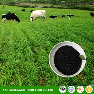 <span class=keywords><strong>Poudre</strong></span> d'algue marine naturelle 100 ml, extrait d'ail pour légumes - Product Image 6