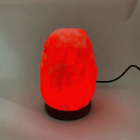 Petites lampes au sel de l'Himalaya cristal de roche naturel énergie négative lumières à intensité variable pour la décoration intérieure cadeau de vacances