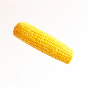 healthy& natural sweet corn good price and sale sweet corn