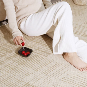Nuovo Design Tappeto di Lusso Morbido in Memory Foam 3,5 cm <span class=keywords><strong>per</strong></span> Soggiorno, Grande Tappeto <span class=keywords><strong>per</strong></span> Cameretta Bambini, Spesso Tappeto Tatami Imbottito - Product Image 3