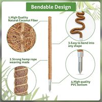 Support d'escalade de plantes d'usine directe bâton de cocotier bâtons de croissance de plantes de pôle de mousse