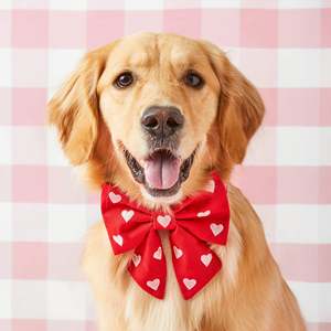 Trái Tim Thêu Phụ Nữ Con Chó <span class=keywords><strong>Bow</strong></span> Cổ Áo Với <span class=keywords><strong>Bow</strong></span> Tie Valentine Bowtie Cổ Áo Cho Con Chó Con Cô Gái Con Chó Hoặc Mèo Pet Dog Phụ Kiện - Product Image 3