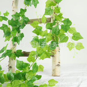 Vignes artificielles de lierre vert, 5 bandes, fleurs décoratives en plastique haute simulation pour décoration intérieure et extérieure - Product Image 4