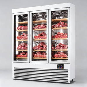Congélateur commercial à trois portes pour bœuf, type ventilé, pour la maturation et la conservation de la viande - Product Image 2